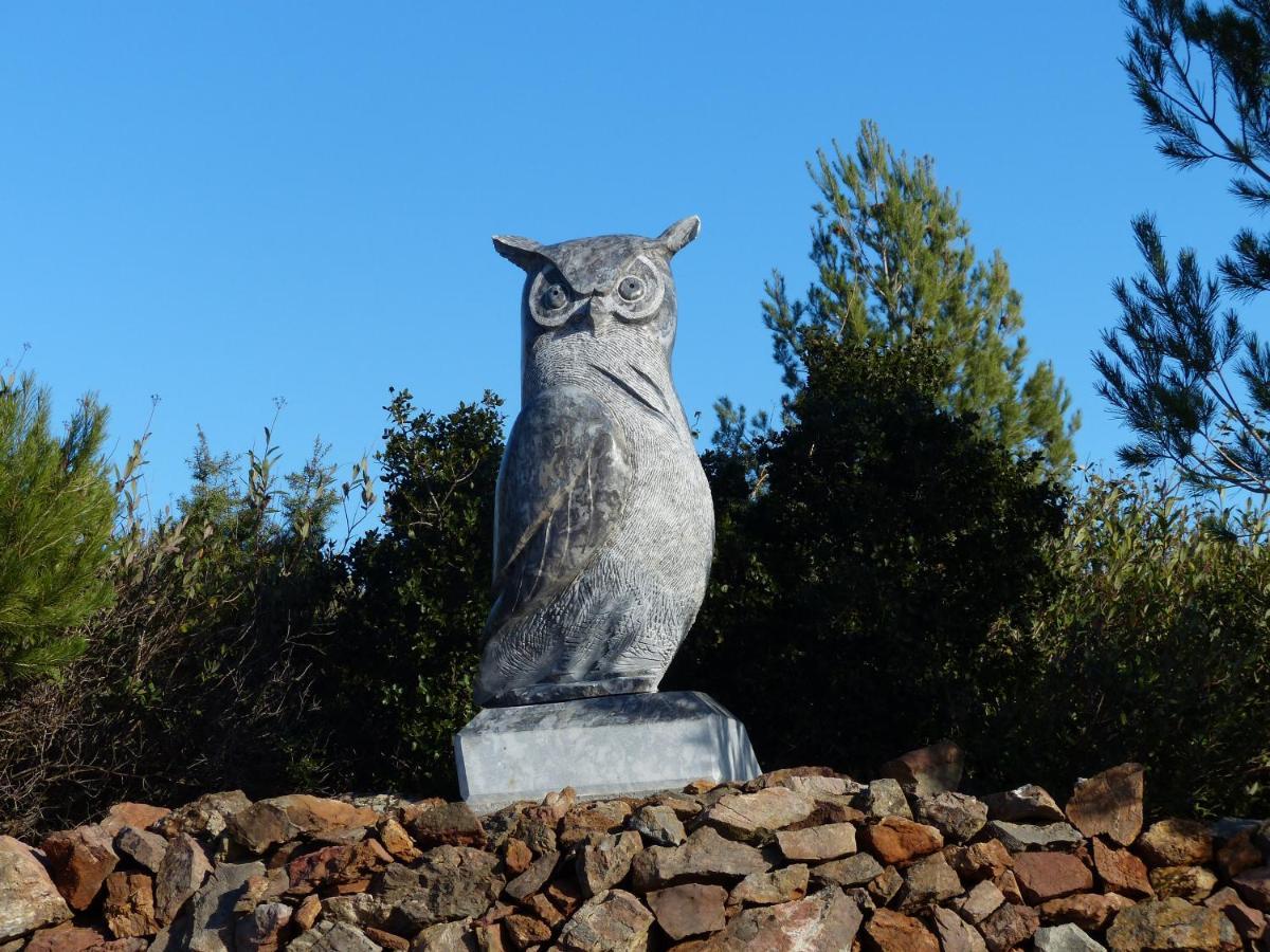 L'Incarnat Villa Caunes-Minervois Exteriör bild